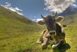 Из Люцерна: частный автомобильный тур в Санкт-Мориц