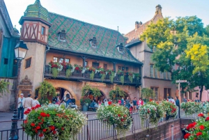 From Strasbourg: Colmar & Alsace Wine Route Private Day Trip