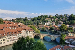 From Zurich: 8-Day Tour to Geneva with Tickets and Lodging