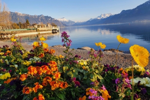 From Zurich: 8-Day Tour to Geneva with Tickets and Lodging