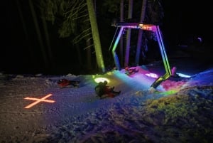 Da Zurigo: Alpine Mario Kart Light Ride — Neve e stelle