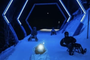 Von Zürich: Alpine Mario Kart Light Ride – Schnee & Sterne