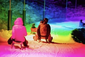 Von Zürich: Alpine Mario Kart Light Ride – Schnee & Sterne