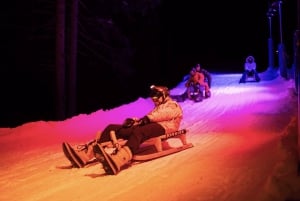 Von Zürich: Alpine Mario Kart Light Ride – Schnee & Sterne