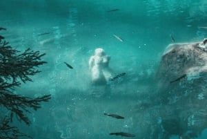 Lago Blausee e affascinante Interlaken: escursione privata di un giorno