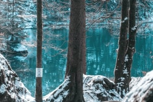 Lago Blausee e affascinante Interlaken: escursione privata di un giorno