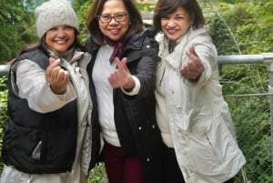 Au départ de Zurich : excursion privée d'une journée « Crash Landing On You ».