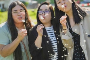 Au départ de Zurich : excursion privée d'une journée « Crash Landing On You ».