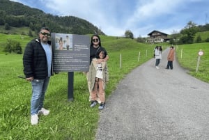 Vanuit Zürich: Crash Landing op je privé dagtrip