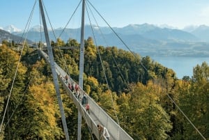 Vanuit Zürich: Crash Landing op je privé dagtrip