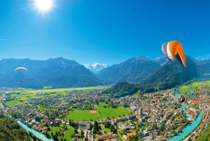 From Zurich: Day-Trip to Interlaken