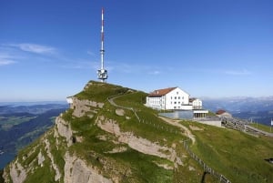 Da Zurigo: Escursione di un giorno a Rigi e al Lago dei Quattro Cantoni