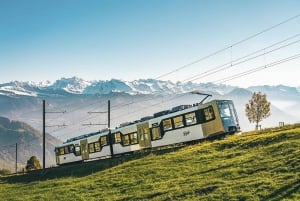 Från Zürich: Dagsutflykt till Rigi och Lucernesjön