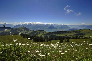 Från Zürich: Dagsutflykt till Rigi och Lucernesjön