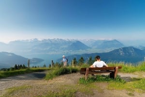 Från Zürich: Dagsutflykt till Rigi och Lucernesjön