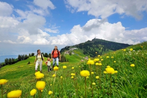 Från Zürich: Dagsutflykt till Rigi och Lucernesjön