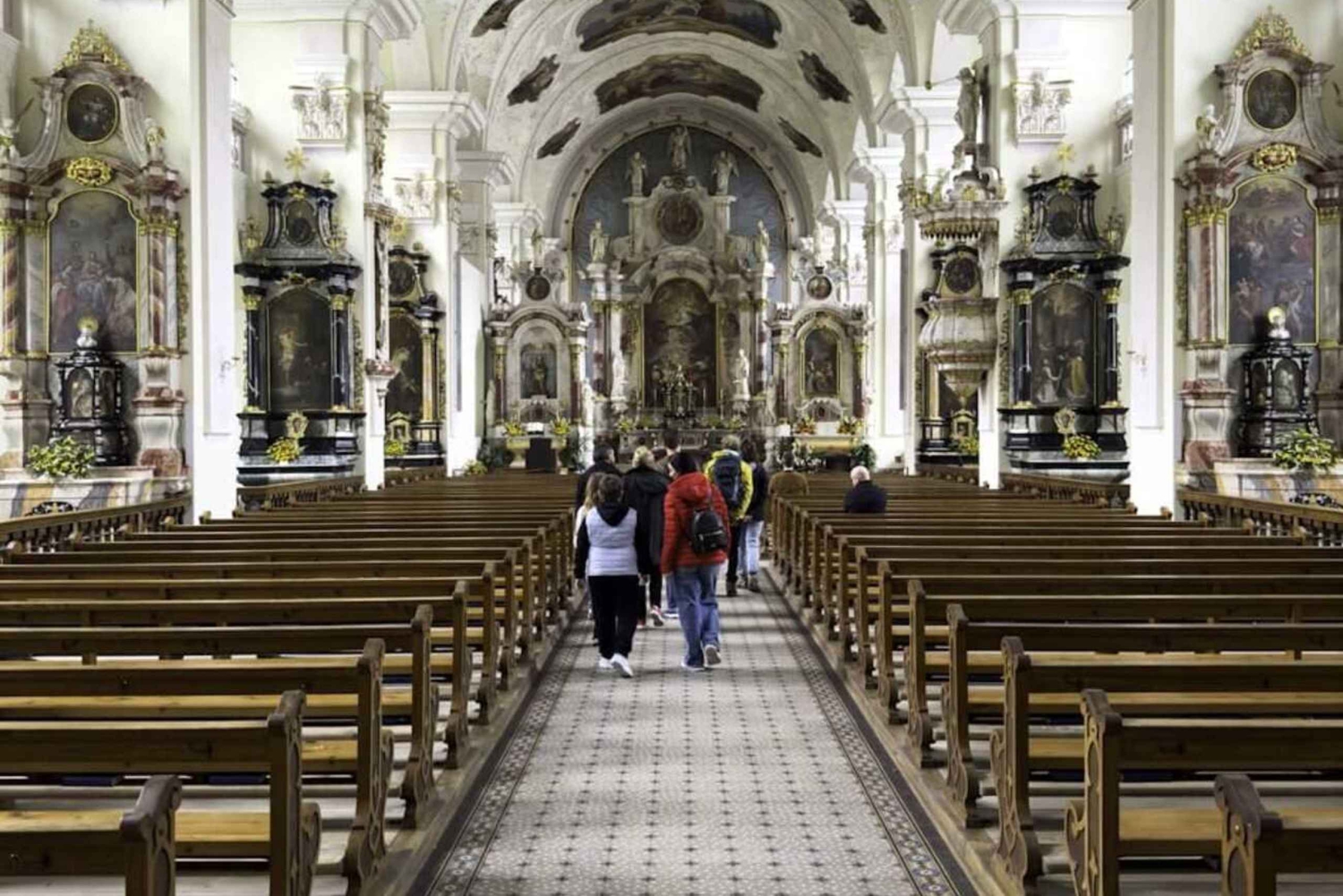 Von Zürich: Engelberg Tagestour mit dem Auto mit Zwischenstopp in Luzern
