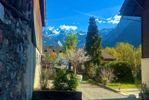 Von Zürich: Engelberg Tagestour mit dem Auto mit Zwischenstopp in Luzern