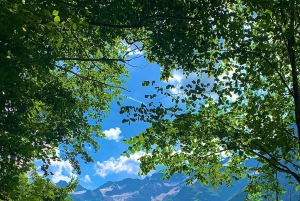 Von Zürich: Engelberg Tagestour mit dem Auto mit Zwischenstopp in Luzern