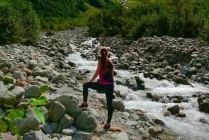 Von Zürich: Engelberg Tagestour mit dem Auto mit Zwischenstopp in Luzern