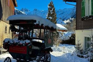 Von Zürich: Engelberg Tagestour mit dem Auto mit Zwischenstopp in Luzern