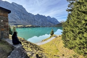 Zürich: Privat resa till Titlis och Lucernes själ
