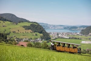 From Zurich: Full-Day Mount Stanserhorn Discovery Tour