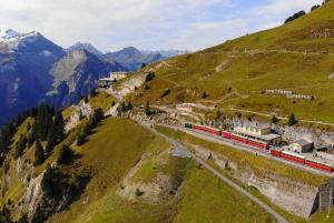 From Zurich: Grindelwald and First Cliff Walk Day Trip