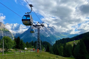 From Zurich: Grindelwald and First Cliff Walk Day Trip