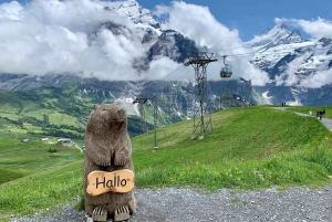 From Zurich: Grindelwald and First Cliff Walk Day Trip