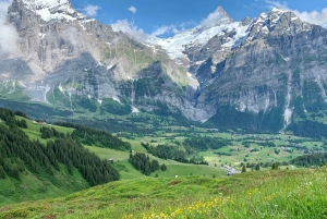 From Zurich: Grindelwald and First Cliff Walk Day Trip