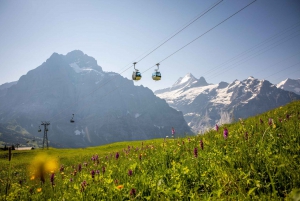 From Zurich: Grindelwald First Cable Car & Interlaken