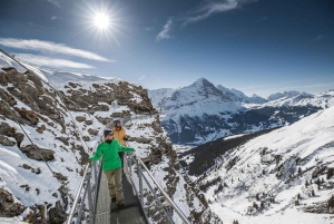 From Zurich: Grindelwald First Cable Car & Interlaken