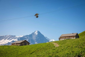 From Zurich: Grindelwald First Cable Car & Interlaken