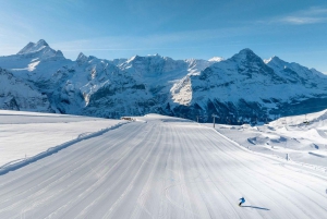 From Zurich: Grindelwald First Cable Car & Interlaken