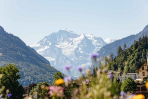 From Zurich: Guided Day Trip to Jungfraujoch with Train Ride