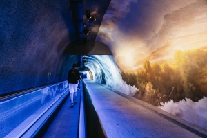 From Zurich: Guided Day Trip to Jungfraujoch with Train Ride