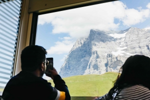 From Zurich: Guided Day Trip to Jungfraujoch with Train Ride