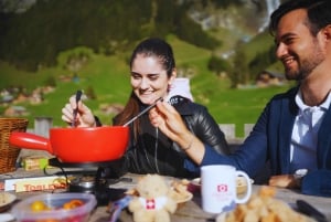 De Zurique: Tour privado de um dia pelas joias escondidas da Suíça com um guia local