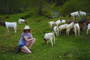 De Zurique: Tour privado de um dia pelas joias escondidas da Suíça com um guia local