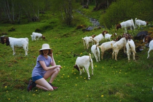 Desde Zúrich: tour privado de un día por los tesoros ocultos de Suiza con un guía local.