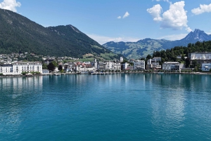 Desde Zúrich: tour privado de un día por los tesoros ocultos de Suiza con un guía local.