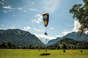 From Zurich: Interlaken Day Trip with Optional Activities