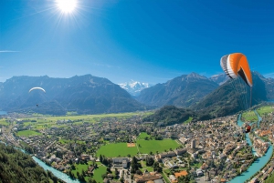 From Zurich: Interlaken Day Trip with Optional Activities