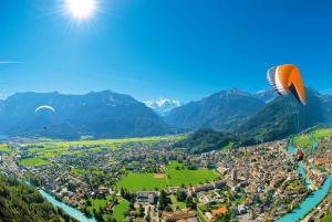 From Zurich: Interlaken Skydiving Adventure