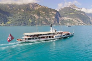 Люцерн, гора Пилатус и круиз: индивидуальная экскурсия из Цюриха