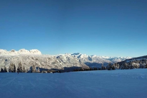 From Zurich main station: 4h ski school for beginners with arrival