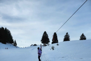 From Zurich main station: 4h ski school for beginners with arrival