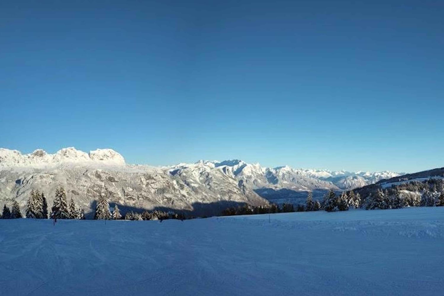 Från Zürichs centralstation: 4 timmars skidskola för nybörjare med resa