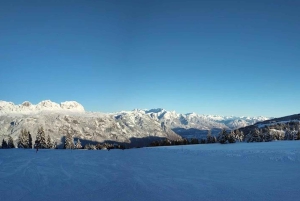 Från Zürichs centralstation: 4 timmars skidskola för nybörjare med resa